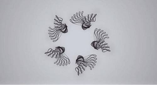 Lace to meet You绣外慧中 布料图书馆蕾丝主题