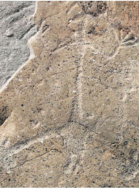 刀痕与印迹——贺兰山岩画独有的艺术魅力