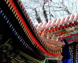  颐和园失踪仙人 归位 之前为复制品被大风吹落