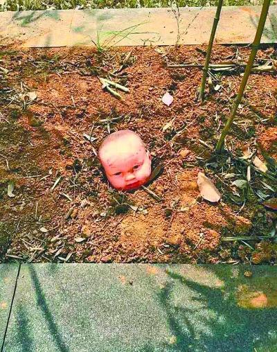 湖北美院花坛长出婴儿吓坏女生 实为作品(图)