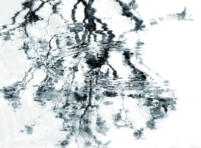 “新中国画”对话“新水墨画”