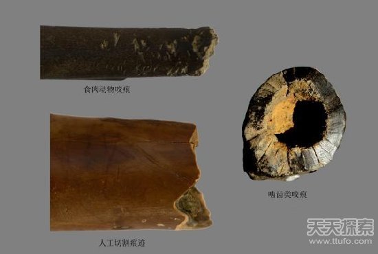 2015年中国挖出的十大巨宝 最后一个举世震惊