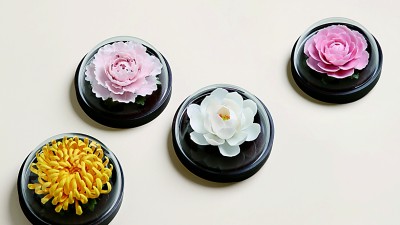 破茧之“白”