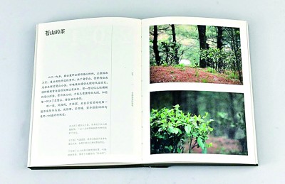 盏中浮沉寻本真
