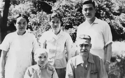 唯书与画,犹未忘情