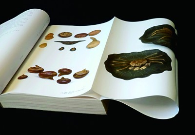 青灯泥凳见风骨