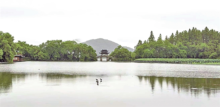 湖山春晓画中游