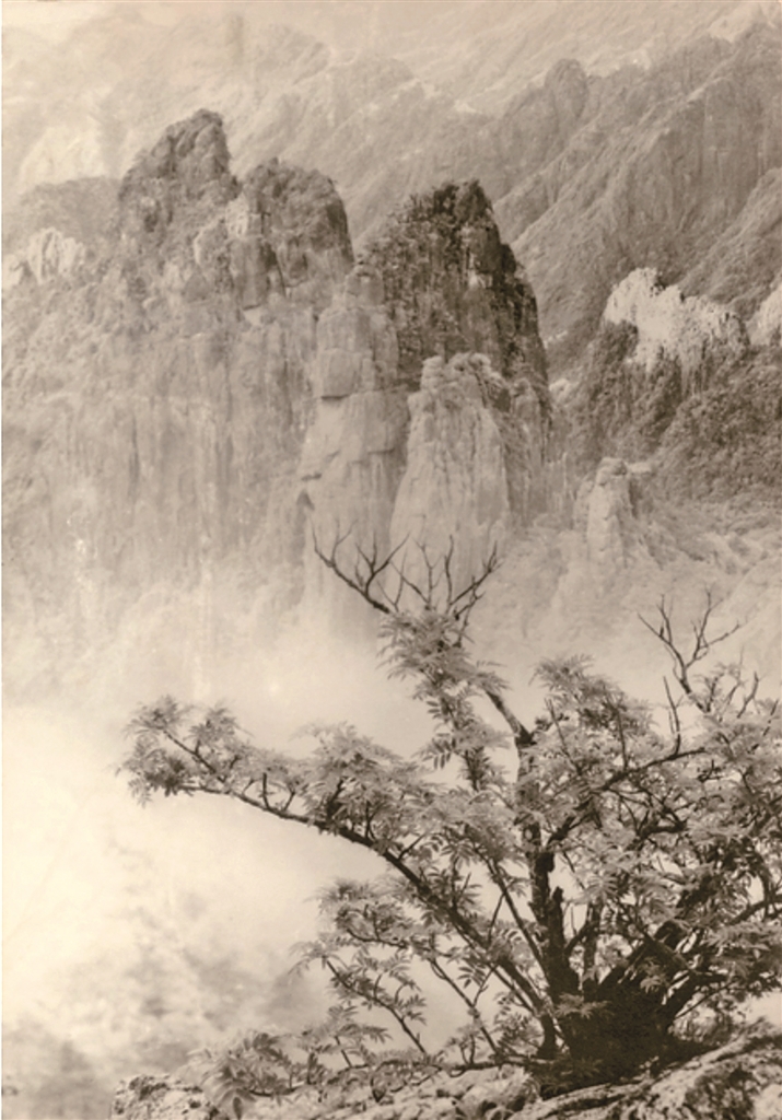 搜尽奇峰 溯洄从之——中国当代山水影像艺术探微