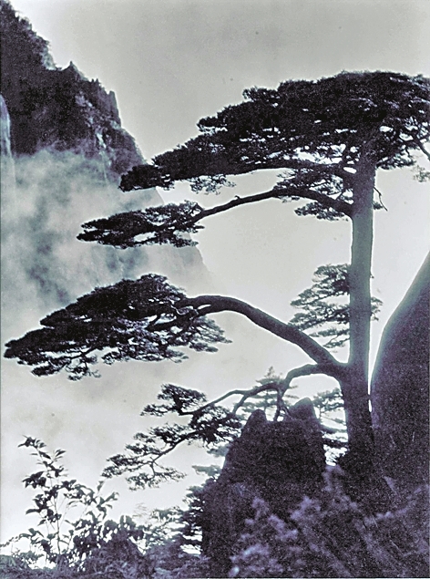 笔底黄山显灵奇 笔底黄山显灵奇