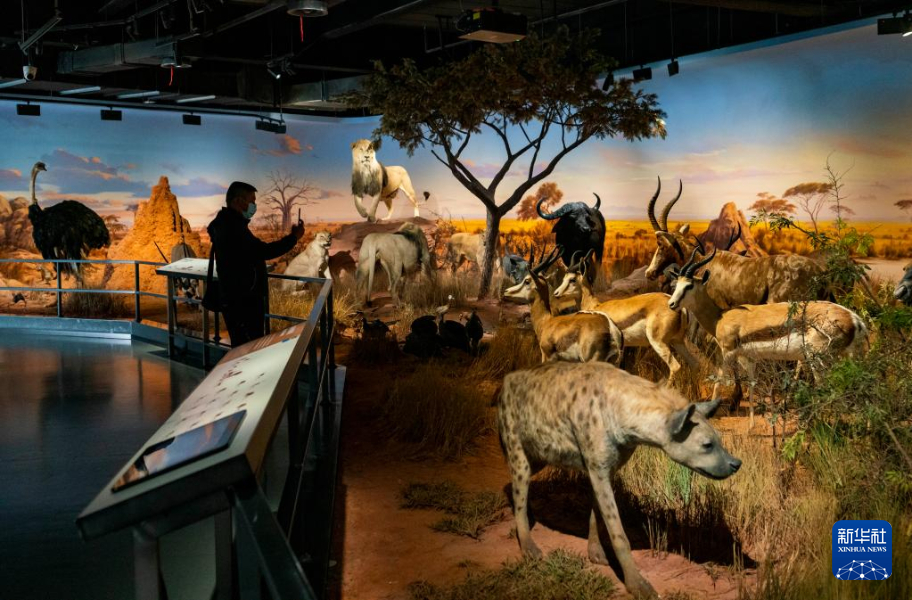 探访澄江化石地世界自然遗产博物馆